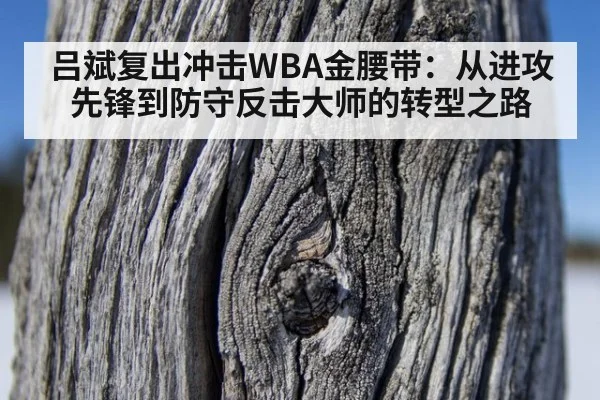 吕斌复出冲击WBA金腰带：从进攻先锋到防守反击大师的转型之路